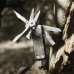 Мультитул Xiaomi Nextool E1 Pocket Tool (Черный) - 3